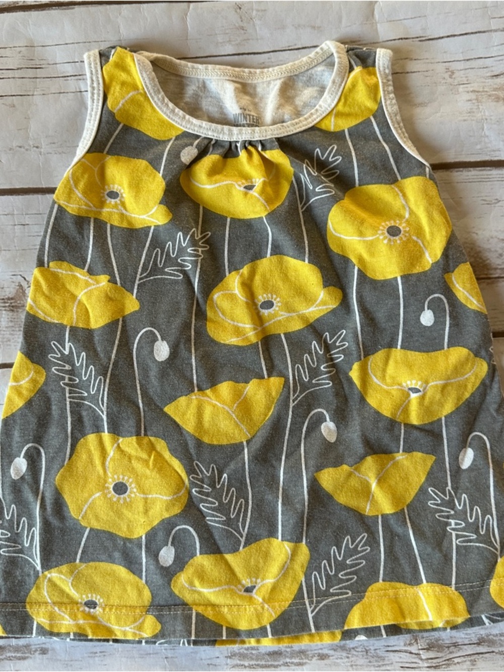 Winter water factory floral dress fair fade 6m